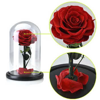 Bauda Amžinąjį Išsaugota Šviežia Rose LED Šviesos Kolboje Nemirtingas Rose Valentino Dienos Dovanos Nemokamas Pristatymas Stiklo danga Rose